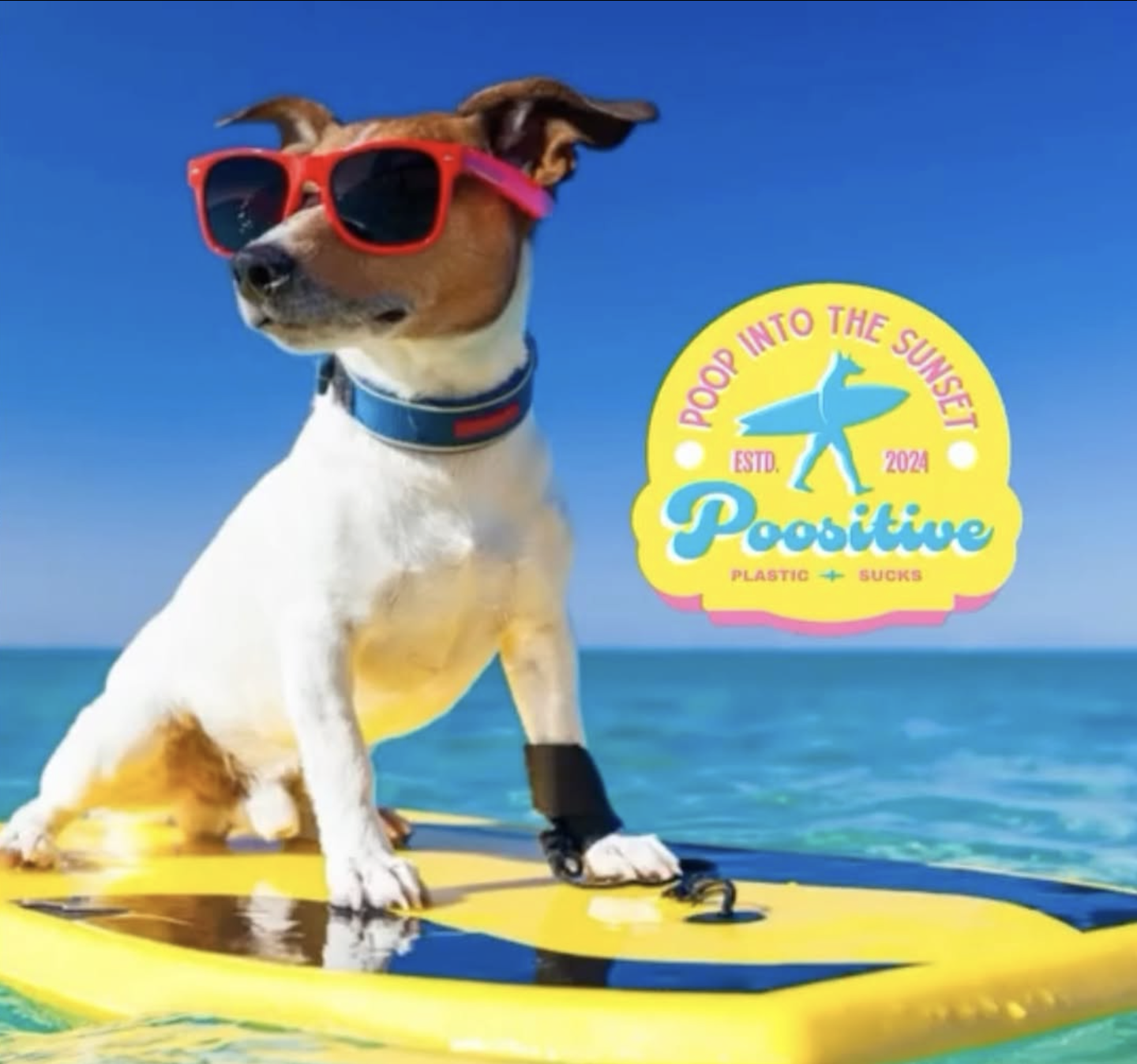 Poositive Pets gallery 7